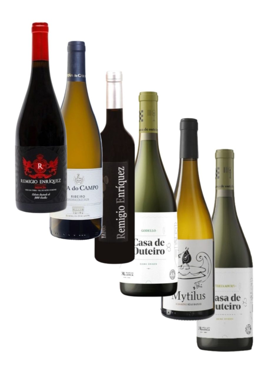 Pack Galicia 6 Variedades Wineluck Venta Online