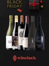 Pack Black Friday Vino de España 6 botellas