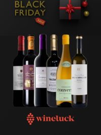 Pack Black Friday Rioja 6 botellas