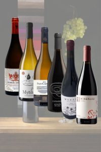 Vinos del Mes Marzo 2026 Wineluck Venta Online