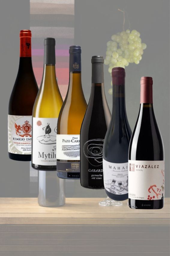 Vinos del Mes Marzo 2026 Wineluck Venta Online