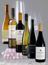 Vinos del Mes Junio 2026  6 botellas