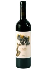 PiNou 2021 Bodegas Costerduo